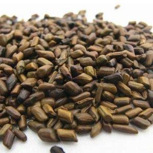 Jue Ming Zi 100g