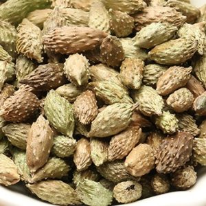 Cang Er Zi 100g