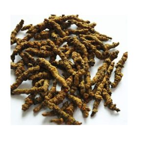 Huang Lian 50g