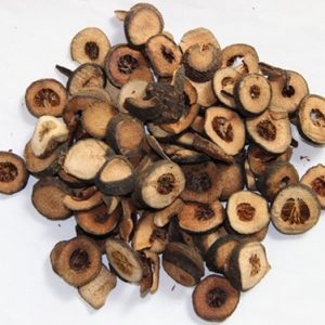 Zhi Shi 100g