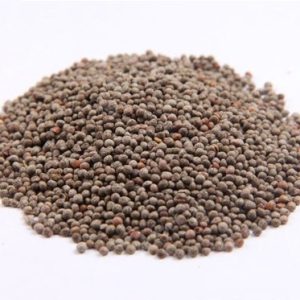Zi Su Zi 100g