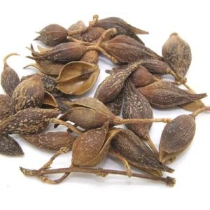Lian Qiao 50g
