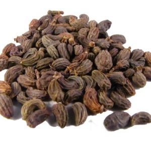 Nu Zhen Zi 100g