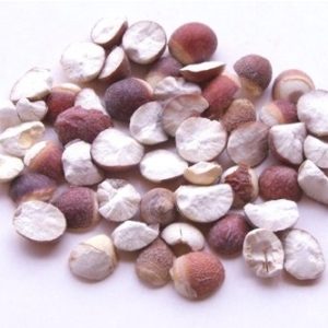 Qian Shi 150g
