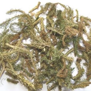 Shen Jin Cao 100g
