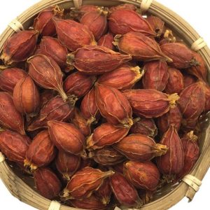 Zhi Zi 100g