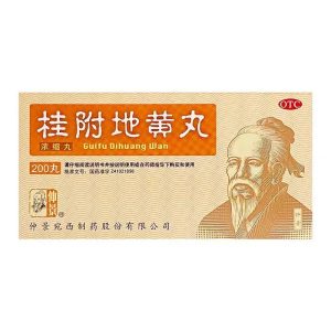Gui Fu Di Huang Wan
