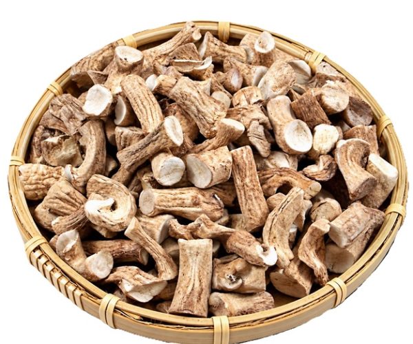 Talo de Cogumelo