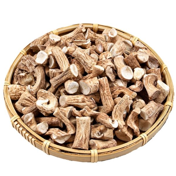 Talo de Cogumelo