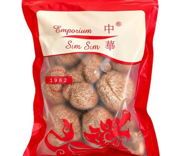 Cogumelo Juba de Leao